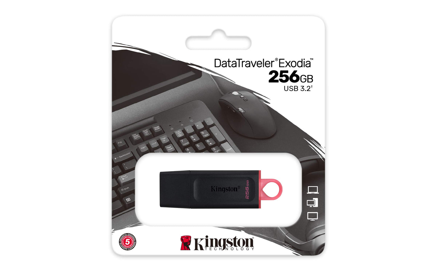 Kingston DataTraveler Exodia DTX/256GB Flash Drive USB 3.2 Gen 1 - con cappuccio protettivo