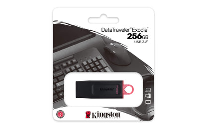 Kingston DataTraveler Exodia DTX/256GB Flash Drive USB 3.2 Gen 1 - con cappuccio protettivo