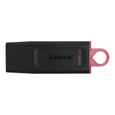 Kingston DataTraveler Exodia DTX/256GB Flash Drive USB 3.2 Gen 1 - con cappuccio protettivo